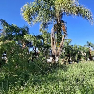 Terreno com 4214m², no bairro Ponta de Baixo em São José