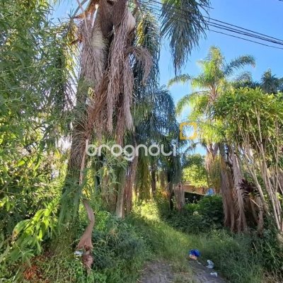 Terreno com 4214m², no bairro Ponta de Baixo em São José