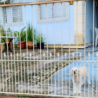 Casa com 99m², 2 quartos, 1 garagem, no bairro Vargem do Bom Jesus em Florianópolis