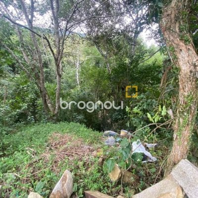 Sítio com 180m², 3 quartos (sendo 1 suíte), no bairro Vargem Grande em Florianópolis