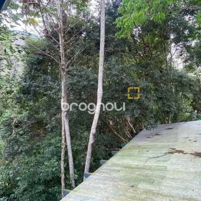 Sítio com 180m², 3 quartos (sendo 1 suíte), no bairro Vargem Grande em Florianópolis