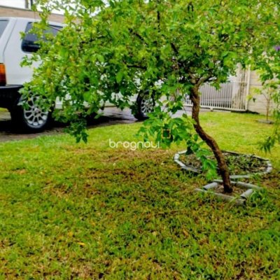 Casa com 53m², 2 quartos, 1 garagem, no bairro Vargem do Bom Jesus em Florianópolis