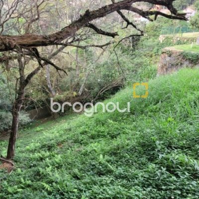 Terreno com 749m², no bairro Corrego Grande em Florianópolis