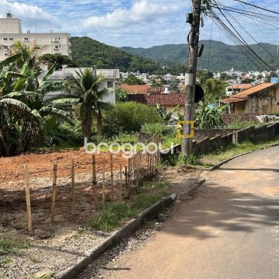 Terreno com 1350m², no bairro Itacorubi em Florianópolis