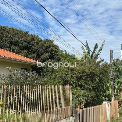Terreno com 1350m², no bairro Itacorubi em Florianópolis