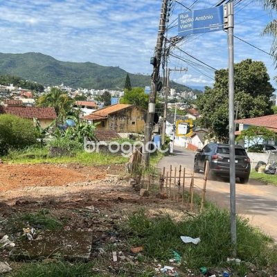Terreno com 1350m², no bairro Itacorubi em Florianópolis