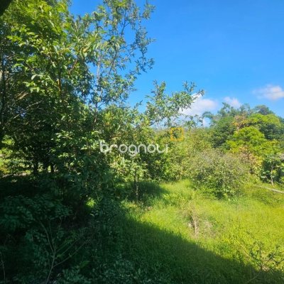Sítio com 3699m², 2 quartos, no bairro Fazenda de Dentro em Biguaçu