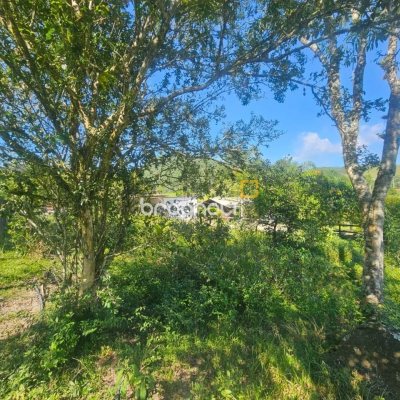 Sítio com 3699m², 2 quartos, no bairro Fazenda de Dentro em Biguaçu