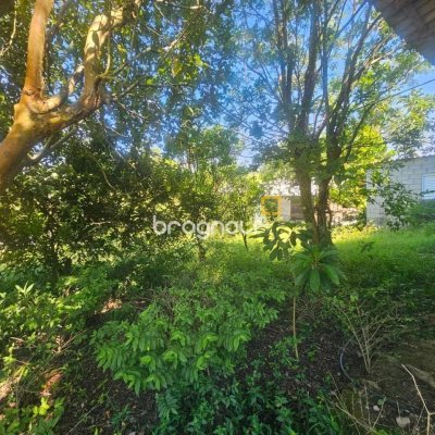 Sítio com 3699m², 2 quartos, no bairro Fazenda de Dentro em Biguaçu