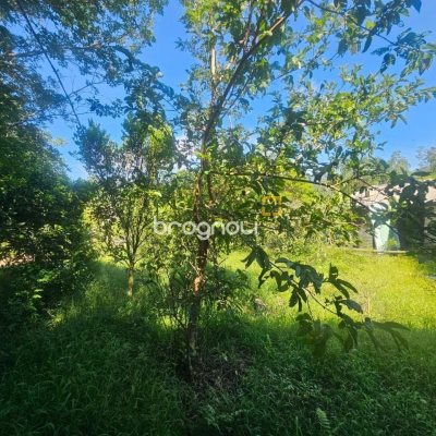 Sítio com 3699m², 2 quartos, no bairro Fazenda de Dentro em Biguaçu