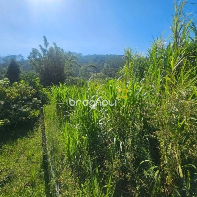 Sítio com 3699m², 2 quartos, no bairro Fazenda de Dentro em Biguaçu
