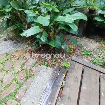 Sítio com 850m², 6 quartos, 3 garagens, no bairro Barra da Lagoa em Florianópolis