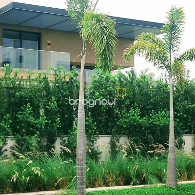 Casa com 700m², 5 quartos (sendo 5 suítes), 6 garagens, no bairro Jurerê Internacional em Florianópolis