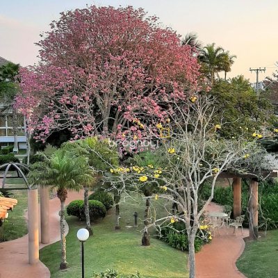 Casa com 600m², 5 quartos (sendo 5 suítes), 6 garagens, no bairro Jurerê em Florianópolis