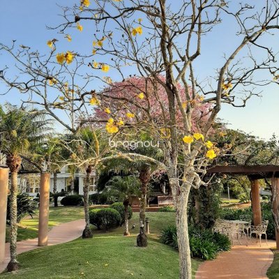 Casa com 600m², 5 quartos (sendo 5 suítes), 6 garagens, no bairro Jurerê em Florianópolis