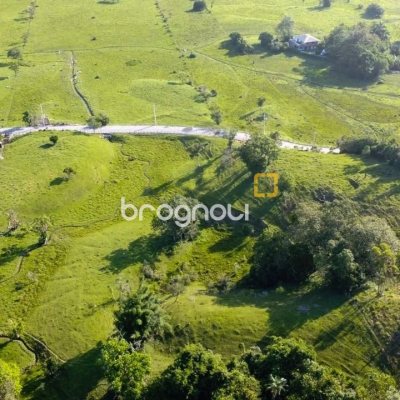 Terreno com 141947m², no bairro Forquilhas em São José