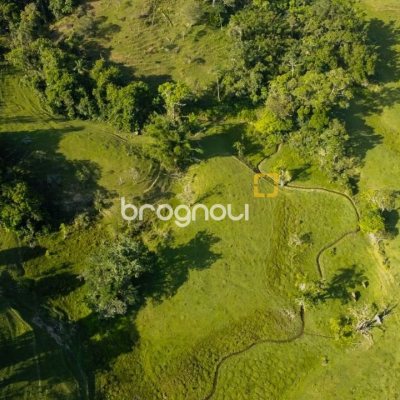 Terreno com 141947m², no bairro Forquilhas em São José