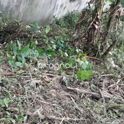 Terreno com 360m², no bairro Bela Vista em São José