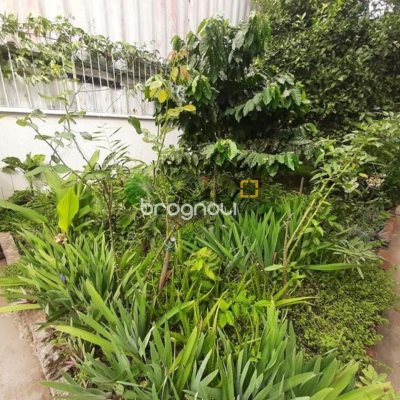 Apartamento com 50m², 2 quartos, no bairro Kobrasol em São José