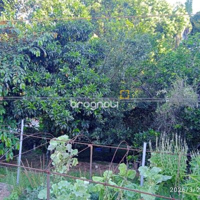 Casa de Condomínio com 301m², 4 quartos (sendo 2 suítes), 2 garagens, no bairro Bosque das Mansões em São José