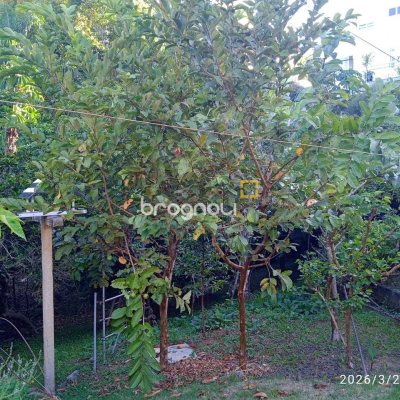 Casa de Condomínio com 301m², 4 quartos (sendo 2 suítes), 2 garagens, no bairro Bosque das Mansões em São José