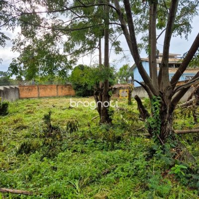 Terreno com 538m², no bairro Campeche em Florianópolis