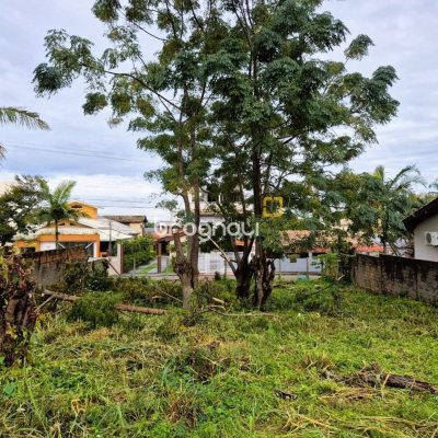 Terreno com 538m², no bairro Campeche em Florianópolis