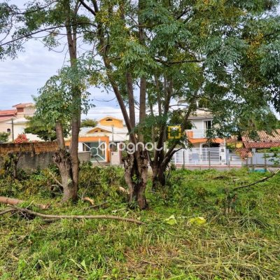 Terreno com 538m², no bairro Campeche em Florianópolis