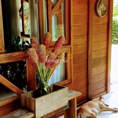 Sítio com 210m², 3 quartos (sendo 2 suítes), 10 garagens, no bairro Ratones em Florianópolis