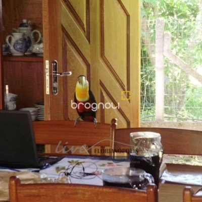 Sítio com 210m², 3 quartos (sendo 2 suítes), 10 garagens, no bairro Ratones em Florianópolis