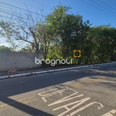 Terreno com 7200m², no bairro Ratones em Florianópolis