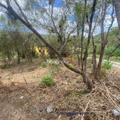 Terreno com 1680m², no bairro Ratones em Florianópolis