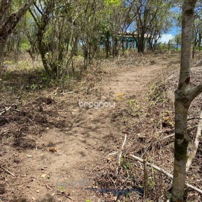 Terreno com 1680m², no bairro Ratones em Florianópolis
