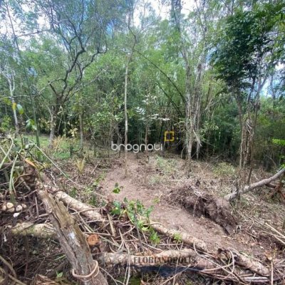 Terreno com 1680m², no bairro Ratones em Florianópolis