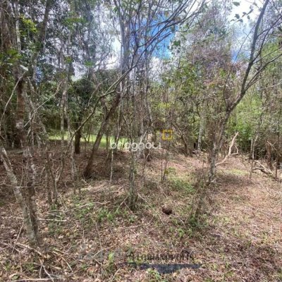Terreno com 1680m², no bairro Ratones em Florianópolis