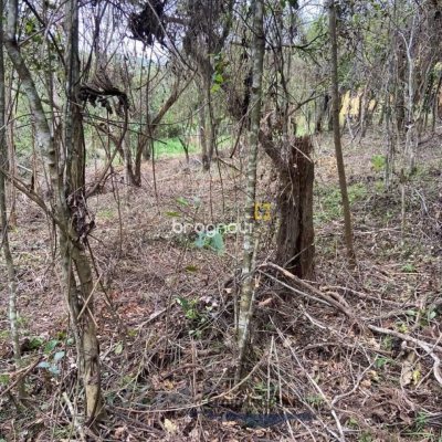 Terreno com 1680m², no bairro Ratones em Florianópolis