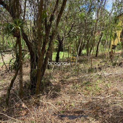 Terreno com 1680m², no bairro Ratones em Florianópolis
