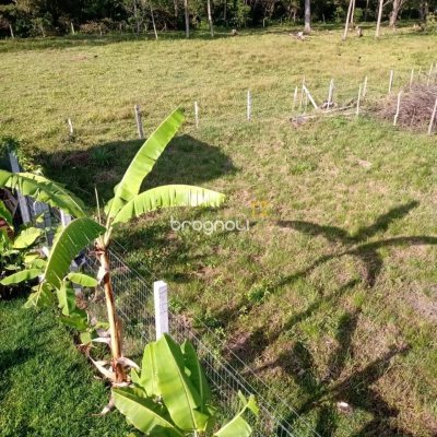 Terreno com 364m², no bairro São João do Rio Vermelho em Florianópolis