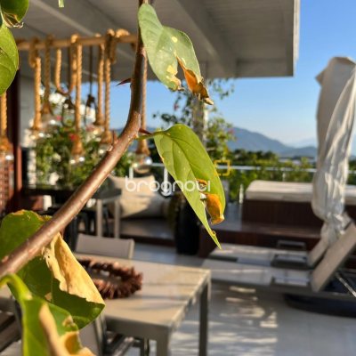 Cobertura com 140m², 2 quartos (sendo 2 suítes), 2 garagens, no bairro Campeche em Florianópolis