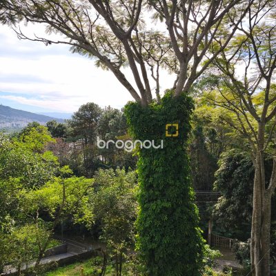 Casa com 300m², 5 quartos (sendo 1 suíte), 4 garagens, no bairro Córrego Grande em Florianópolis