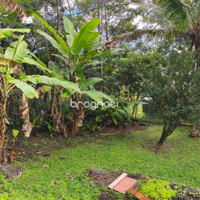 Casa com 300m², 5 quartos (sendo 1 suíte), 4 garagens, no bairro Córrego Grande em Florianópolis