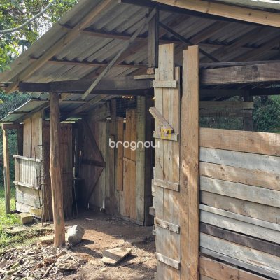 Sítio com 80m², 1 quarto (sendo 1 suíte), 1 garagem, no bairro Ribeirão da Ilha em Florianópolis
