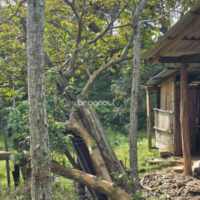 Sítio com 80m², 1 quarto (sendo 1 suíte), 1 garagem, no bairro Ribeirão da Ilha em Florianópolis