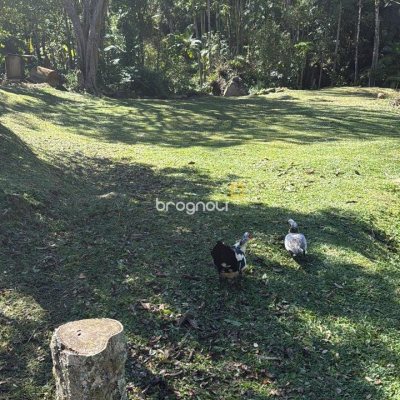 Sítio com 80m², 1 quarto (sendo 1 suíte), 1 garagem, no bairro Ribeirão da Ilha em Florianópolis