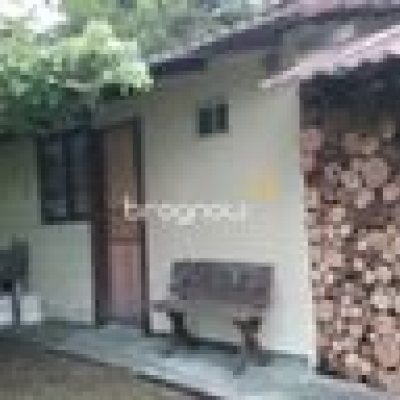Sítio com 35369m², 2 quartos, 1 garagem, no bairro Garcia em Angelina