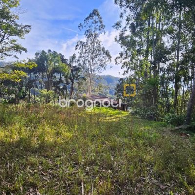 Sítio com 35369m², 2 quartos, 1 garagem, no bairro Garcia em Angelina