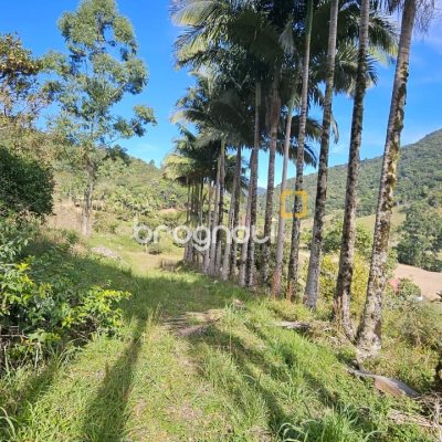 Sítio com 35369m², 2 quartos, 1 garagem, no bairro Garcia em Angelina