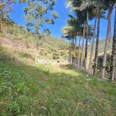 Sítio com 35369m², 2 quartos, 1 garagem, no bairro Garcia em Angelina