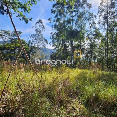 Sítio com 35369m², 2 quartos, 1 garagem, no bairro Garcia em Angelina