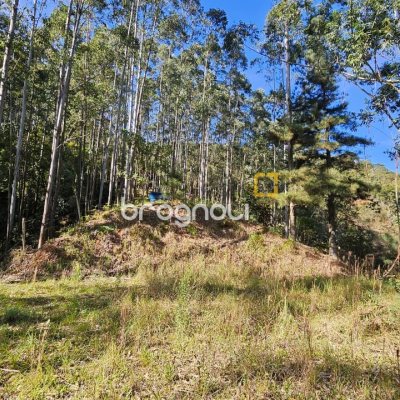 Sítio com 35369m², 2 quartos, 1 garagem, no bairro Garcia em Angelina